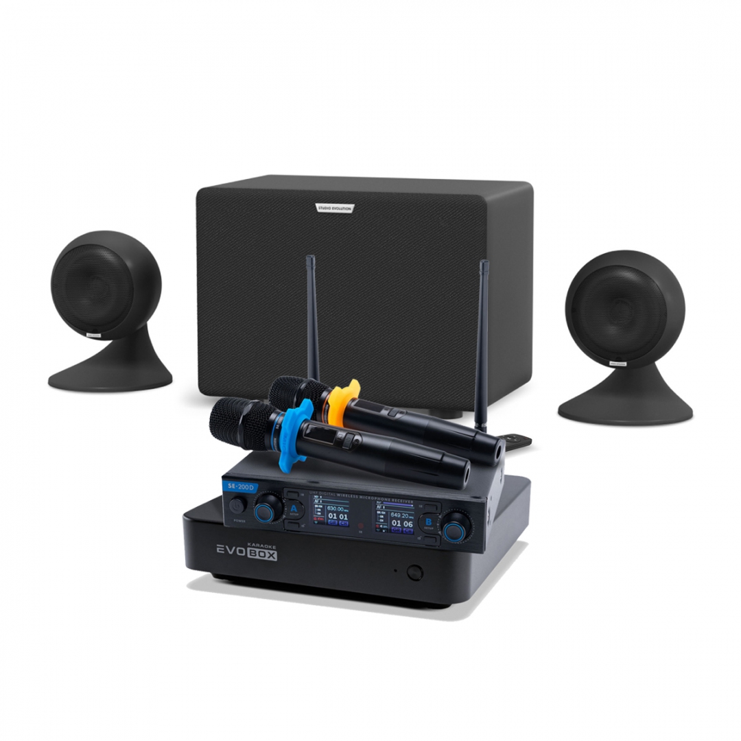 караоке-комплект EVOBOX + EvoSound Sphere 2.1 в Мурманске