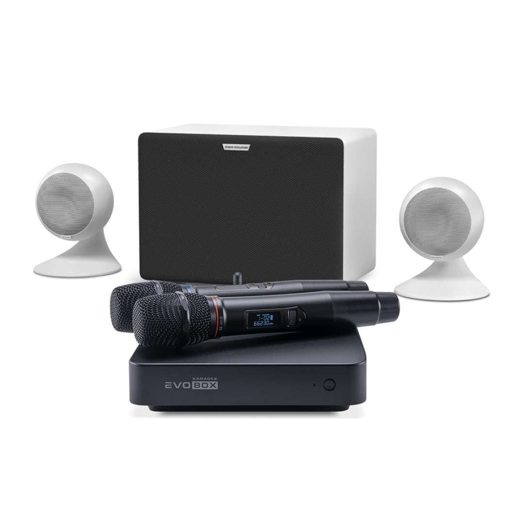 караоке-комплект EVOBOX Classic + EvoSound Sphere 2.1 в Мурманске