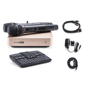 EVOBOX Classic караоке-система для дома в Мурманске